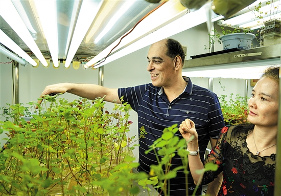 Austin Battersea Stehelin, a Swiss professor at the School of Life Sciences of the University, and Xie Zhiping, an associate professor at the School of Life Sciences of Sun Yat-sen University, photo by reporter Huang Yijun of Yangcheng Evening News.